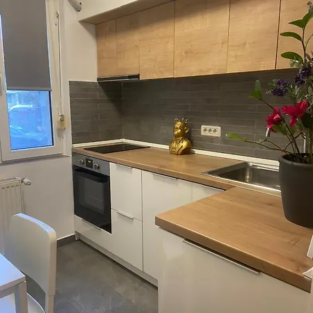 Art & Design - Center Apartment Timisoara